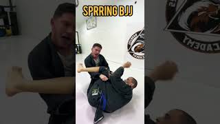 sparring jiu jitsu 79