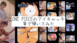 One Piece 麦わらの一味10人のアイキャッチを箏で弾いてみた Youtube