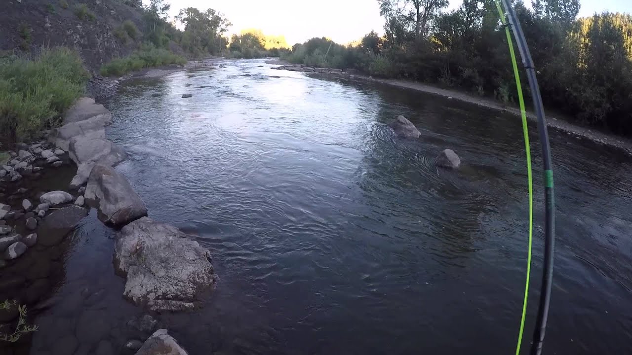 Trout Fishing, Pagosa Springs Colorado YouTube