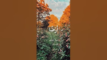 تلاوة هادئة تريح النفس🤍 #المصحف #راحة_نفسية