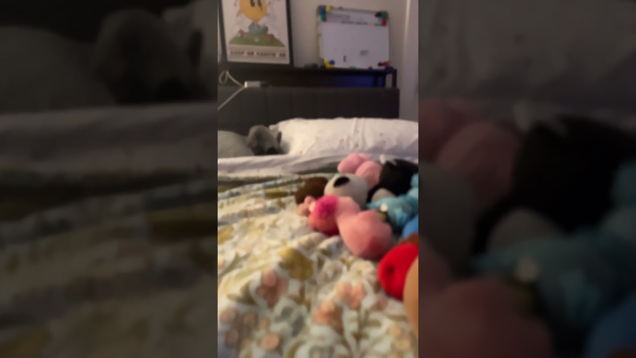 My growth spurt be like (I was 4’5)