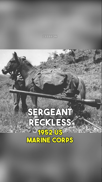 10 Greatest War Horses in History #horse #history #shorts