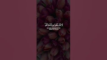 قل يا عبادي الذين أسرفوا على أنفسهم لا تقنطوا من رحمة الله || سورة الزمر || القارئ: اسلام صبحي