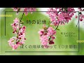 (cover)時の記憶 / SEIKA ぼくの地球を守って ED主題歌 1993 Please Save My Earth(DTM Instrumental)