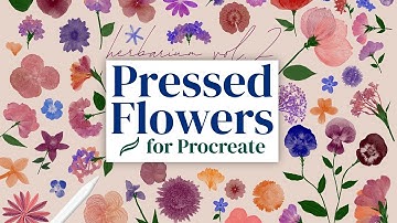 Pressed Flower Brushes for Procreate - Complete Walkthrough and Tutorial