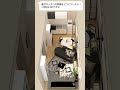 キッチンを意識せずにくつろぐレイアウト/壁付キッチン/LDK11帖/#リビング#リビングダイニング#LDK#ikea#暮らしチャンネル#interiordesign#模様替え