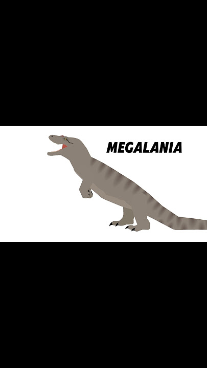 Komoto Dragon VS megalania Roar! The sound that megalania could've made...💀