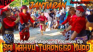 JANTURAN EBEG  SRI WAHYU TURONGGO MUDO || Bulutawon Bulupayung Patimuan Clp