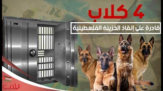 ٤ كلاب قادرة على إنقاذ الخزينة الفلسطينية