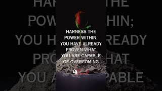 Harness that incredible power and let it propel you forward like a wild beast bounding after its…