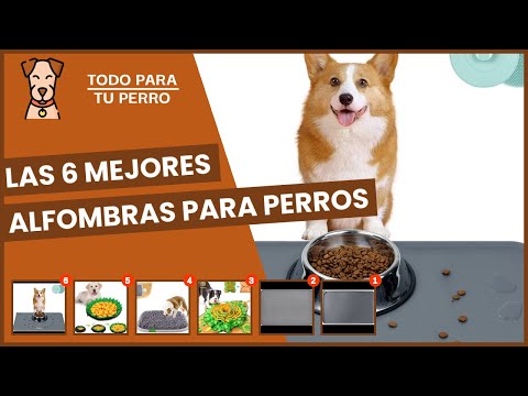 Video: ¿Pueden los perros comer guisantes?