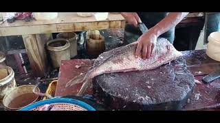 У ачехского морского лосося супер предметы, привет из России