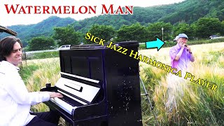 “Watermelon Man” by Herbie Hancock - Piano/Jazz Harmonica Duet