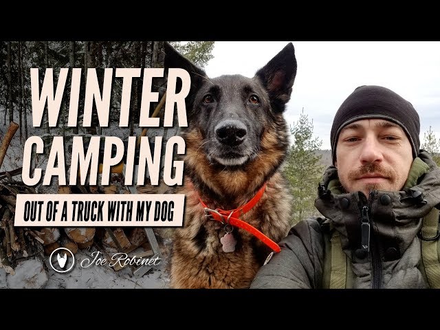 Winter Camping With my Dog out of a TRUCK!
