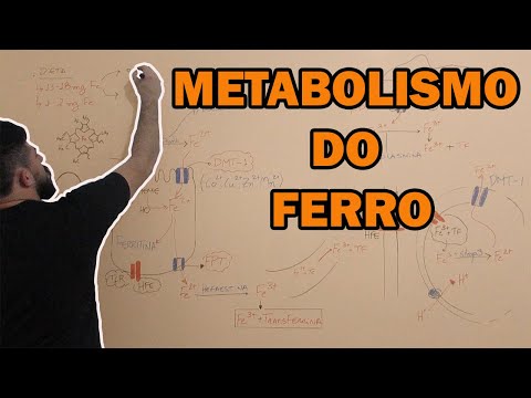 Vídeo: Onde o ferro é armazenado no corpo?