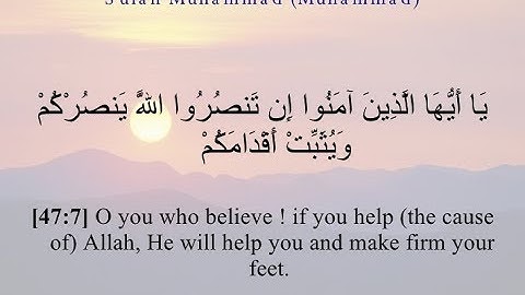 إن تنصروا الله ينصركم - ما تيسر من سورة محمد - الشيخ بلال قميحة
