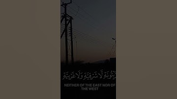 الشيخ ياسر الدوسري تلاوة خاشعة