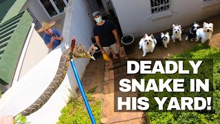 HUGE DEADLY SNAKE IN HIS YARD!