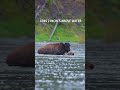 STOP Shooting at Eye-Level!!