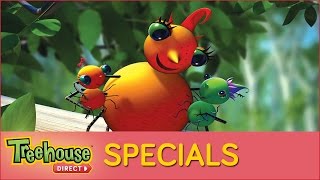 Miss Spider's Sunny Patch Kids  Special