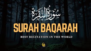 Surah Al Baqarah Full (سورة البقره) MOST HEART TOUCHING RECITATION by Ahmad Shalabi