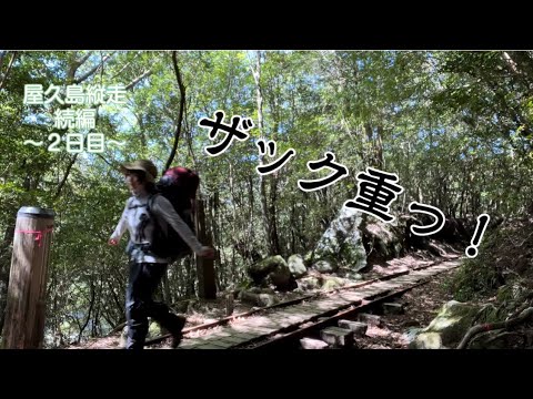 ソロ登山テント泊【屋久島１泊２日縦走王道コース　後編】怪我人たくさん……体力がないと見れない世界！テント泊ザックが重かった。世界遺産の森をただ歩く