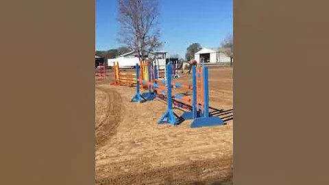 Cynthia Holbrook. jump TTC
