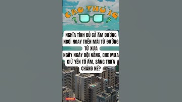 Câu Đố Vui Nhộn 3: Thử Thách Tư Duy Logic Của Bạn p80 | Cao Thủ IQ #funny #dovui #giaitri #haihuoc