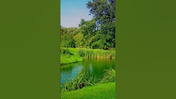 اني جزيتهم اليوم بما صبروا✨ #تلاوة_هادئة #تلاوة_خاشعة #إسلام_صبحي #خواتيم_سورة_المؤمنون
