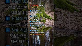 📌 잇몸병을 부르는 습관 5가지#건강 #몸속독소 #생활습관 #해독 #디톡스 #좋은글 #습관 #명언 #건강정보 #웰빙 #몸정화 #건강한삶 #헬스케어
