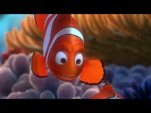 Video: Dory bir parça öldü?