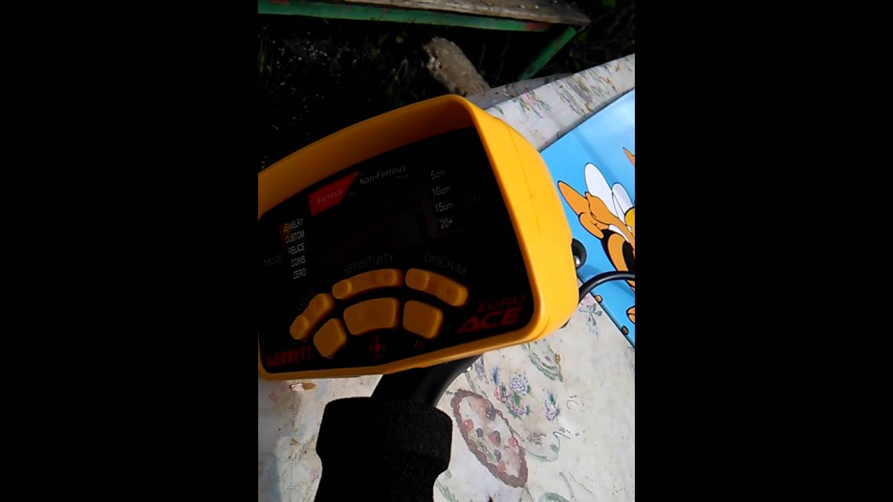 Garrett euro ace test in aer