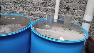 Sistema de captación de agua de lluvia con filtro de primeras aguas de lluvia