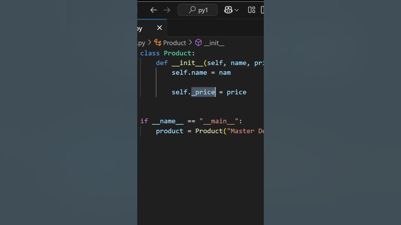 Python: Protected Access (attribute and function) - YouTube