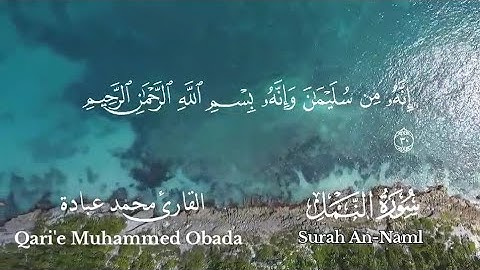 إِنَّهُۥ مِن سُلَيْمَـٰنَ 🕌 تلاوة عذبة من سورة النمل بصوت القارئ محمد عبادة