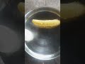 രാവിലെത്തെ brkfst.... 🙌🏻 #shortvideo