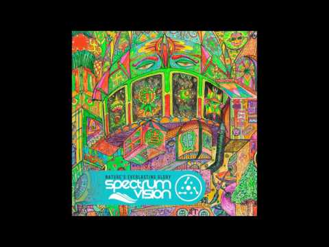 Spectrum Vision — Spectrum Vision - Amazon Breath