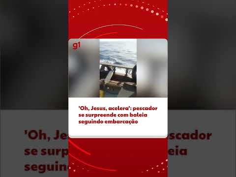 Pescador grava momento em que baleia segue embarcação no Rio de Janeiro #shorts