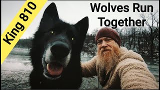 KING 810 - Wolves Run Together