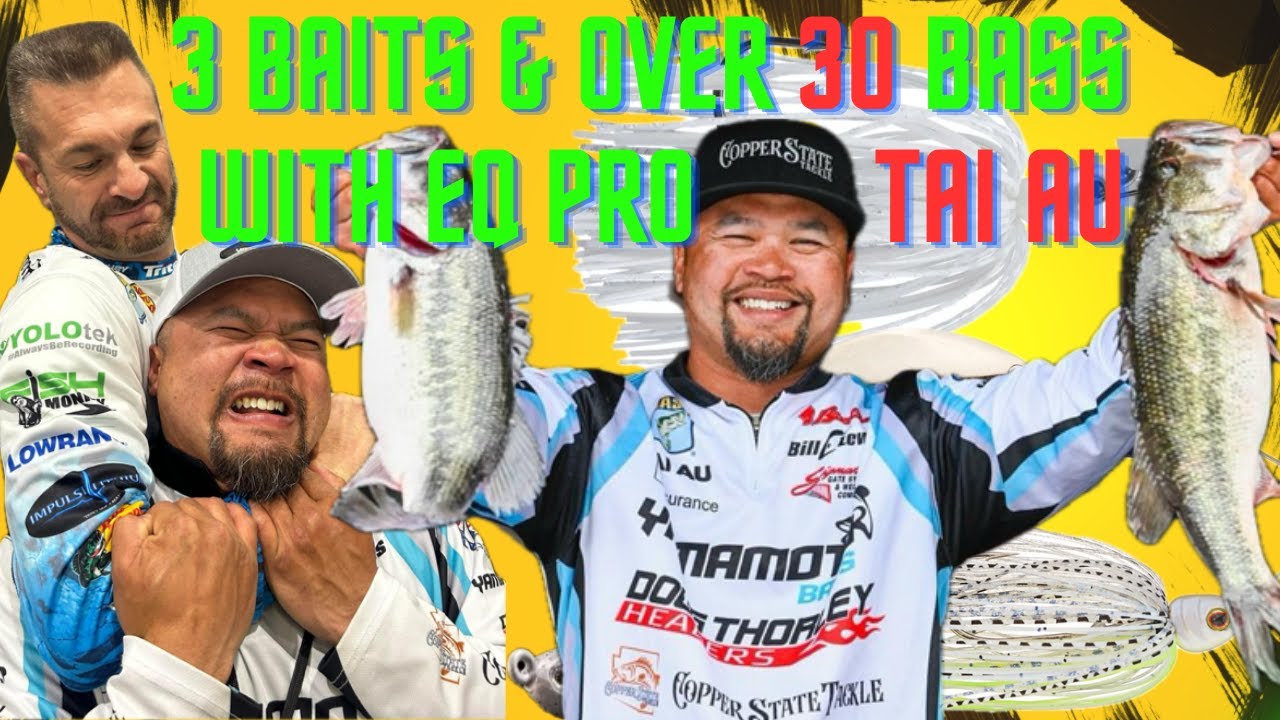 ROOSEVELT Tonto end IS ON FIRE. Make sure you have these BAITS & TAKE A KID FISHING. #Bass #fishing