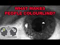 How Colorblindness Works - Inside Things Episode 4