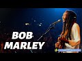Reggae Music Mix 🏳️‍🌠Bob Marley Ziggy Marley Dennis Brown Gregory Isaacs Sean Paul Reggae Music Mix 🏳️‍🌠Bob Marley Ziggy Marley Dennis Brown Gregory Isaacs Sean Paul