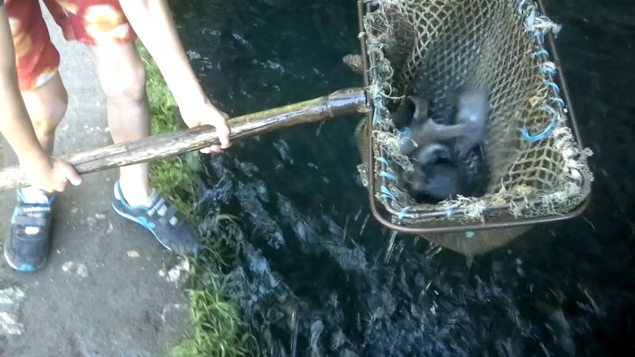 Восточная Сербия. Krupajsko Vrelo- banja +24°С.