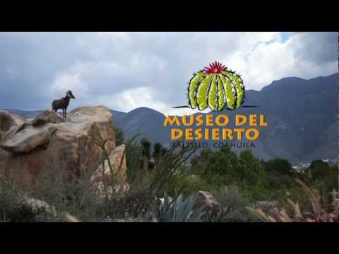 #VeLoQueYoVeo "MUSEO DEL DESIERTO SALTILLO COAHUILA 2012"