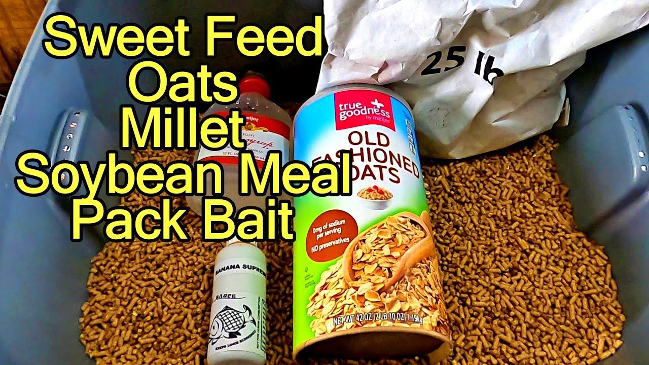 Carp fishing pack bait recipe sweet feed oats millet soybean meal  combination 