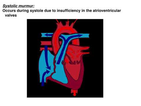 8 Clinical Examination of cardiovascular system in animals - YouTube