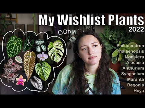 Video: Si t'i mbajmë orkidet të rriten drejt?