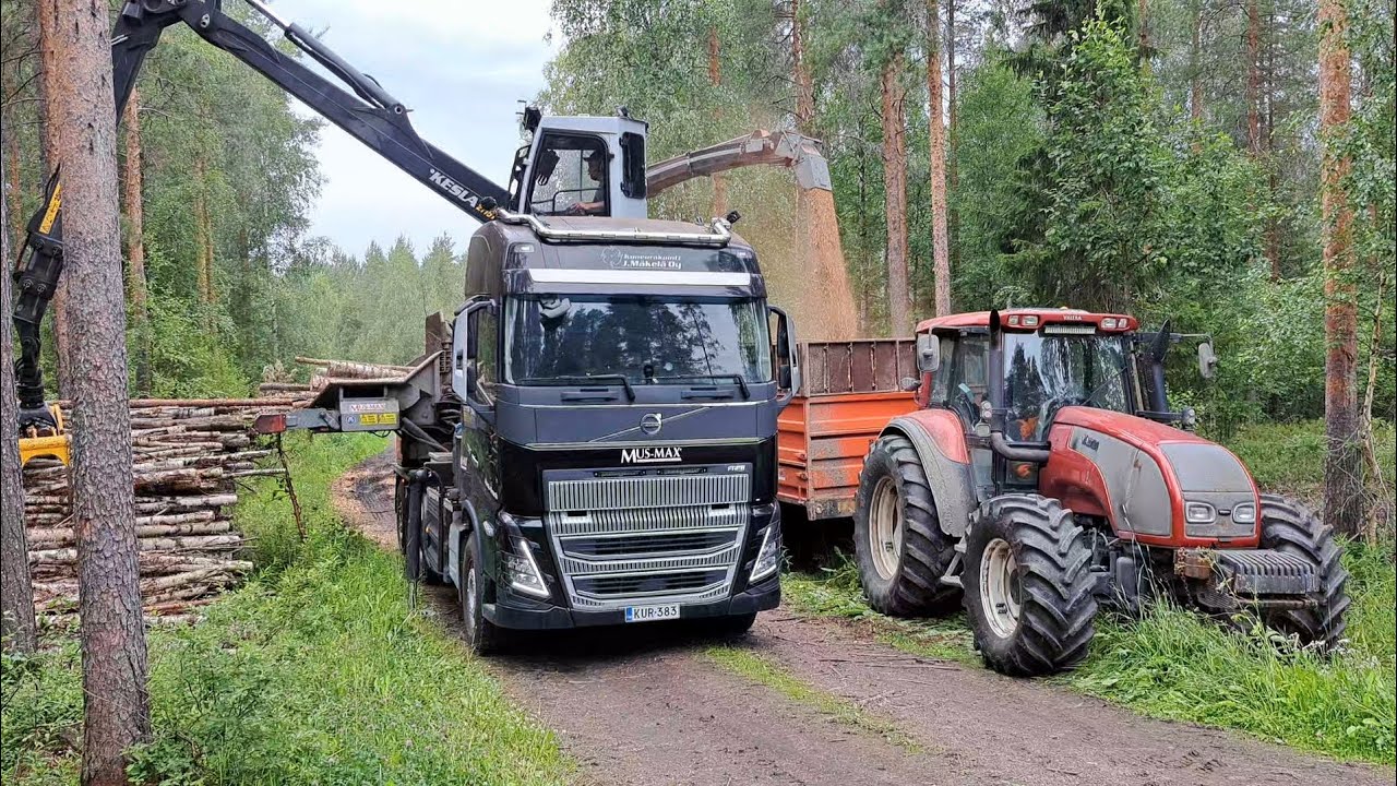 Pieni haketusvireo 🪓🪵🔥