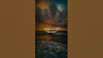 سورة النساء||حالات واتس قرآن ||القارئ#ياسر_الدوسري