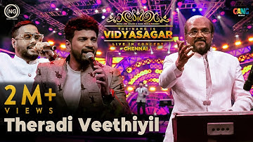 தேரடி வீதியில் | The Name is Vidyasagar Live in Concert | Chennai | Noise and Grains